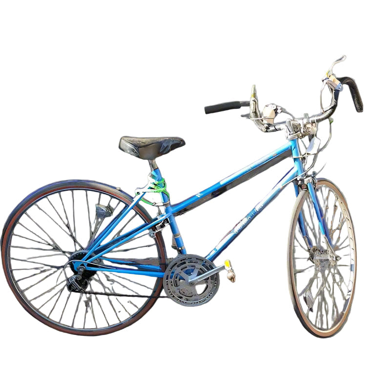Schwinn Blue LeTour III 10-Speed Bicycle – 1970s Road Bike