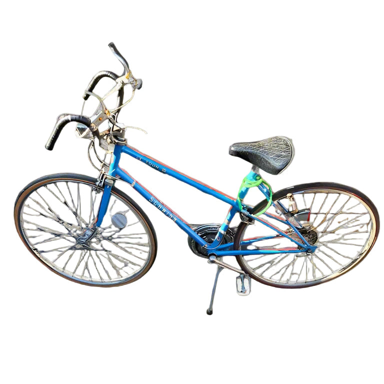 Schwinn Blue LeTour III 10-Speed Bicycle – 1970s Road Bike
