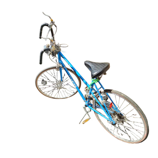 Schwinn Collegiate Blue Road Bike — Classic American Commuter Bicycle