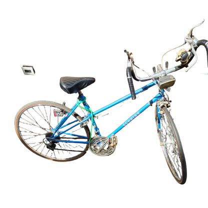 Schwinn Collegiate Blue Road Bike — Classic American Commuter Bicycle