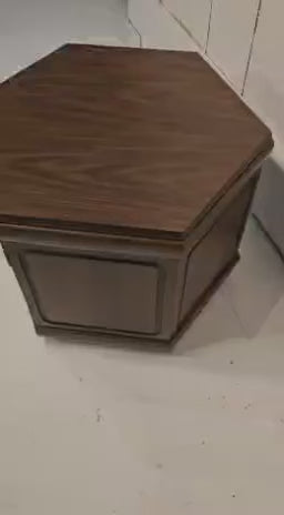 Side Table with Storage – Mid-Century Wooden Octagon End Table