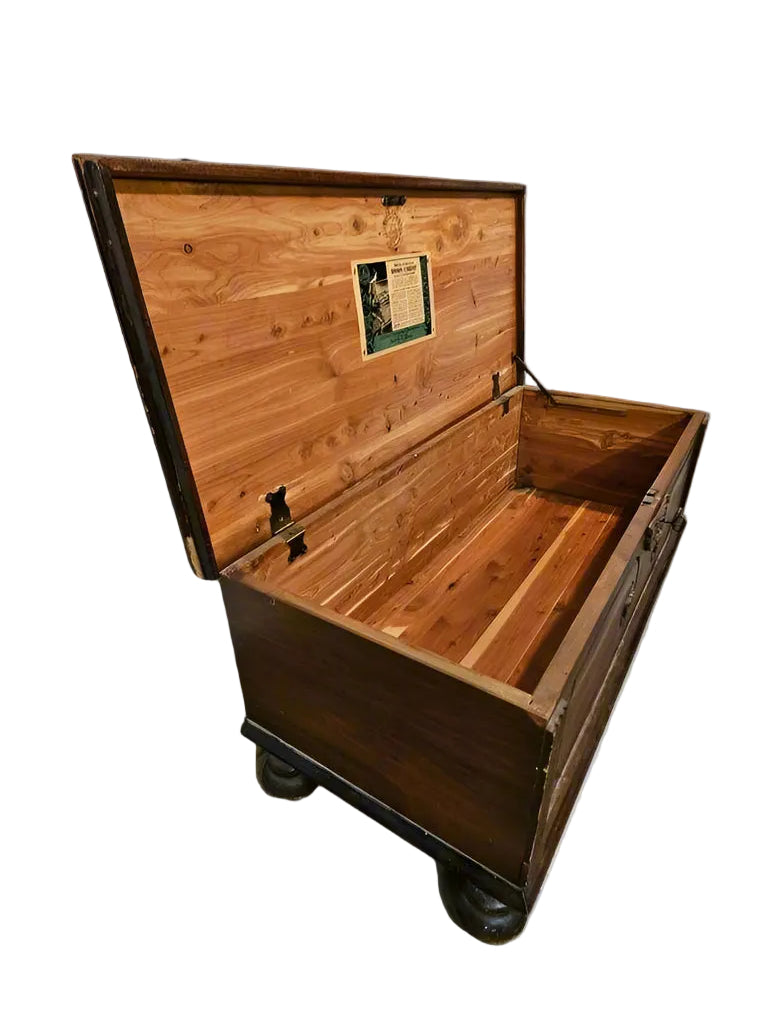 Wooden trunk on a gray background